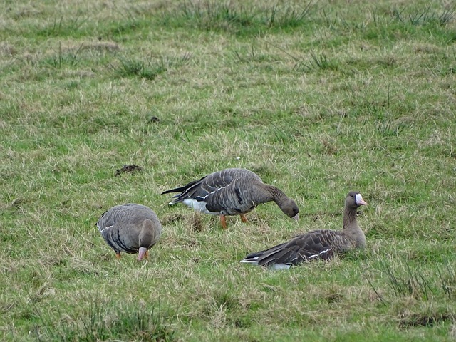 在确保法律 在确保法律