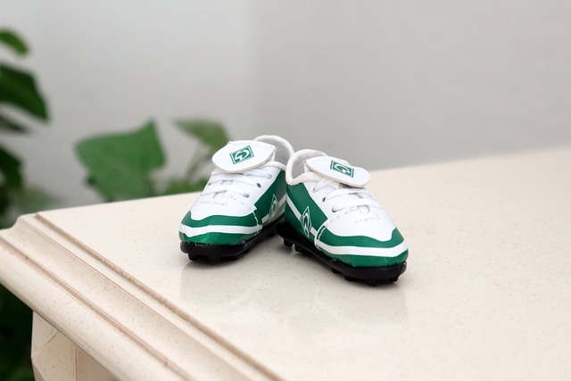 深远的启示 深远的启示