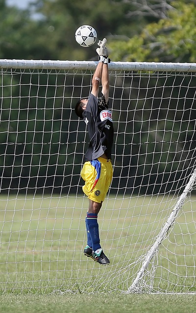 的挑戰與機 的挑戰與機