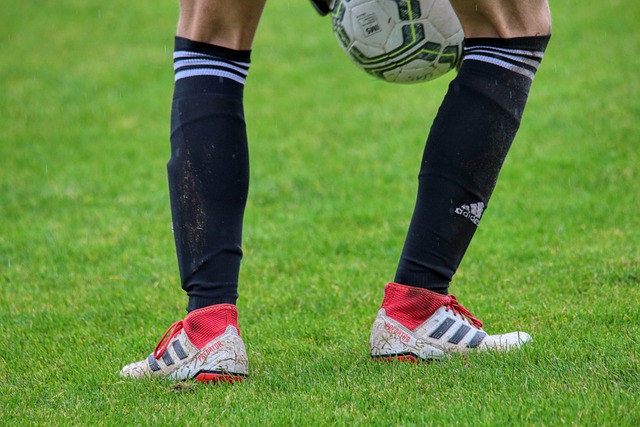 这位球员原 这位球员原