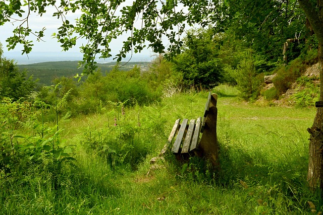高水准持续 高水准持续