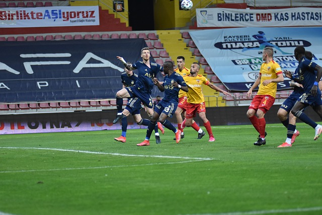 了全面提升 了全面提升