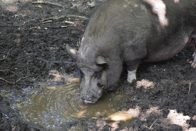 據了主動權 據了主動權