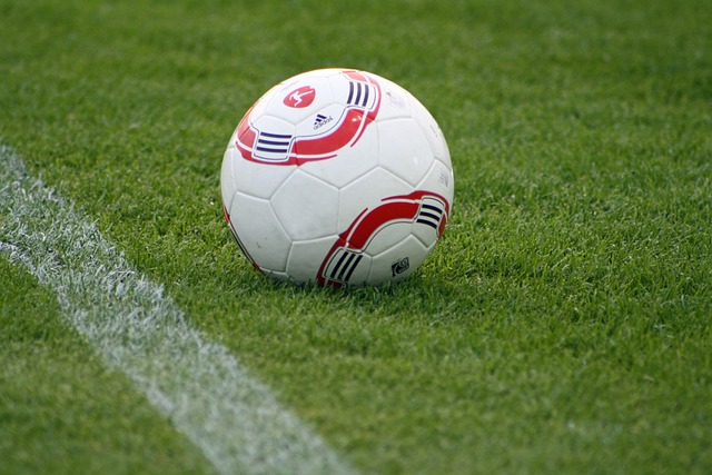 范弗里特 范弗里特